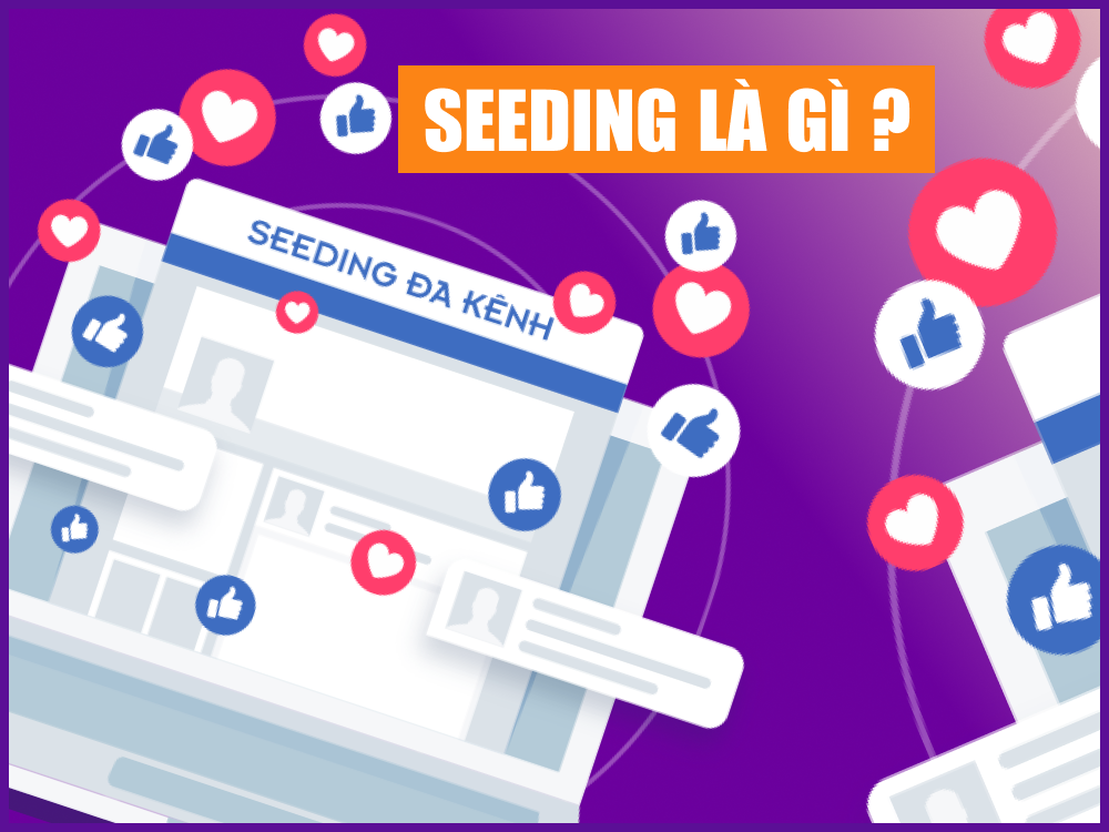 Seeding là gì?